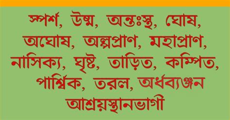 উচ্চারণ প্রকৃতি অনুসারে ব‍্যঞ্জনের শ্রেণি