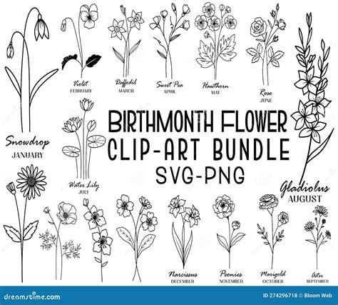 Set Of Birth Month Flowers Colorful Vector Drawing | CartoonDealer.com ...