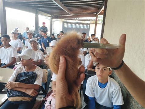 Guarda Mirim De B Zios Participa De Atividades Educativas No M S Do