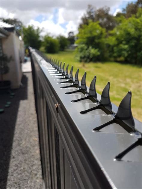 Croc Top Security Fence Spikes Anti Climb Fence Topper