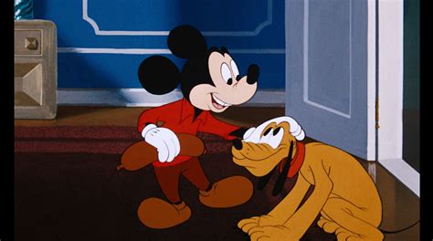 Pluto Gallery | Disney Australia Mickey