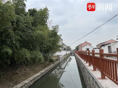 凝心聚力打造生态河道，苏州吴中界路村绘就水清岸绿景美画卷财经头条