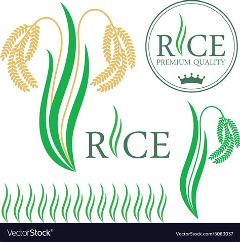 Rice Royalty Free Vector Image Vectorstock