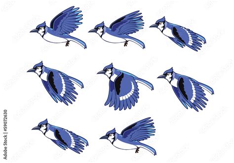 Blue Jay Bird Flying Animation Sprite Stock Vector | Adobe Stock