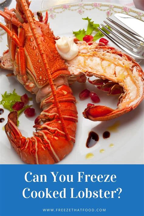 How Do You Freeze Cooked Lobster In The Shell Qaqooking Wiki