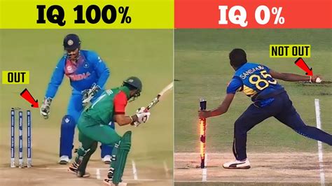 Top 10 Zero IQ Moments In Cricket Epic Cricket Moments Risen