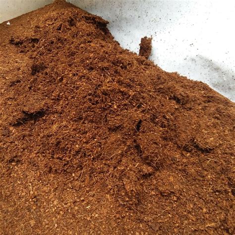 Powder Organic Coco Peat Packaging Type Loose At Rs 9 Kg In New Delhi