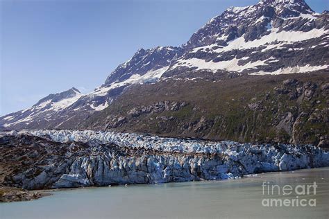 Lamplugh Glacier, Alaska Photograph by Catherine Sherman