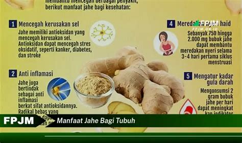 Temukan Manfaat Jahe Bagi Tubuh Yang Bikin Kamu Penasaran Discover News