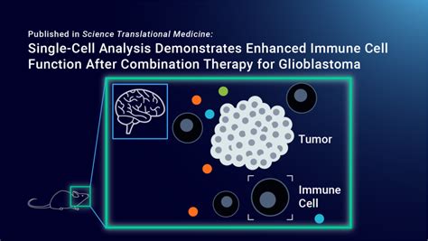 Isoplexis Launches Breakthrough Single Cell Innate And Myeloid Solution Phenomex