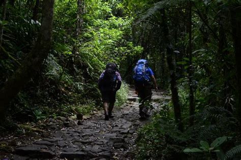 Jalur Pendakian Gunung Salak Via Cimelati Bakal Dibuka SINDO Jabar