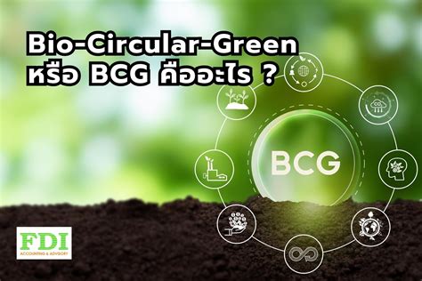 Bio Circular Green Economy หรือ Bcg คืออะไร Fdi