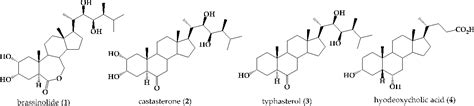 Figure 1 From Synthesis Of Five Known Brassinosteroid Analogs From Hyodeoxycholic Acid And Their