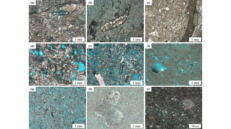 Thin section images scale bar A H 1mm I 500 μm of facies