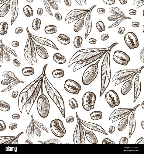 Coffee Beans And Leaves Of Coffea Plant Seamless Pattern Stock Vector