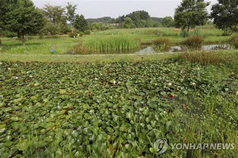 내달 1일 제2회 멸종위기종의 날멸종위기종 증식·복원상 시상 연합뉴스