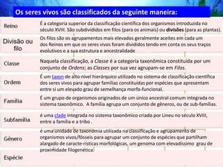 Taxonomia Dos Seres Vivos Ppt