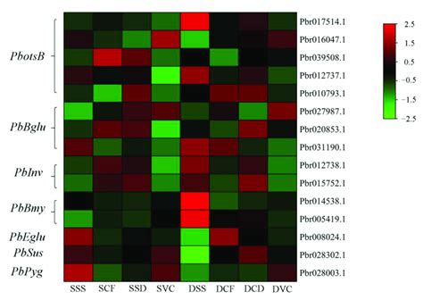 Heat Maps Of Differentially Expressed Genes Involved In The Starch And