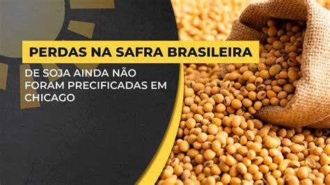 Perdas na safra brasileira de soja ainda não foram precificadas em