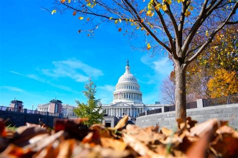 Democrats Fall Short Republicans Advance In First Test Of New Oregon