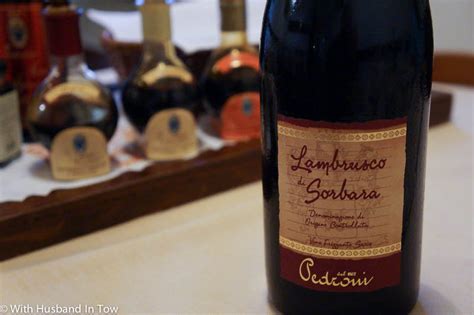 What Is Lambrusco Wine Italian Lambrusco Wine How To Drink Lambrusco