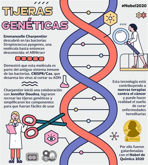 Nobel de Química 2020 para científicas que reescribieron el código de