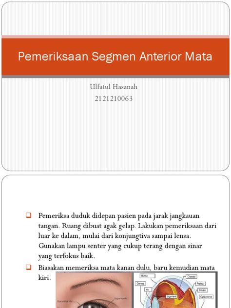 Pemeriksaan Segmen Anterior Mata Fix Pdf