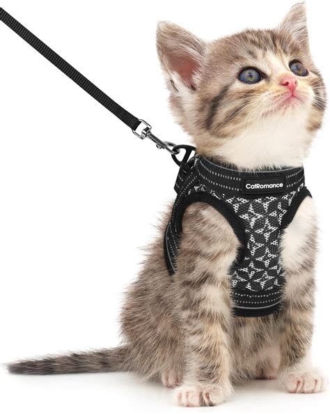 Pet Supplies Cat Harness And Leash Set Gold Moons Stars Soft Nylon