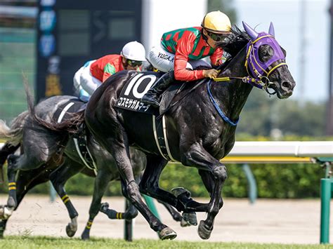 【月岡温泉特別レース後コメント】コスモサガルマータ川田将雅騎手ら 競馬ニュース Netkeiba