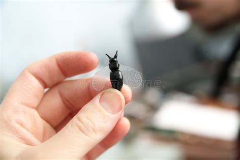 Hand Holding Plastic Handmade Miniature Plastic Toy Bee Sculpture