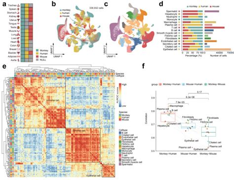 Dijun Chen S And Yang Sun S Teams Have Constructed A Reference Map Of