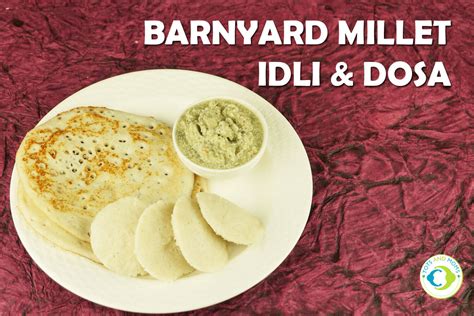 Barnyard Millet Idli And Dosa For Babies Toddlers And Kids