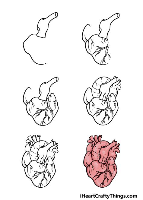 Human Heart Pencil Drawings