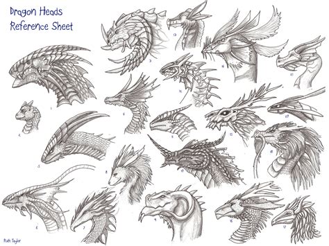 Dragon Heads Reference Sheet By Archir On Newgrounds