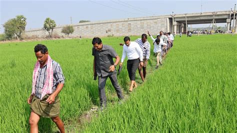 Telangana పొలం గట్లపై నడుస్తూ కనిపించిన వ్యక్తి ఎవరా అని ఆరా తీయగా Telugu News Khammam