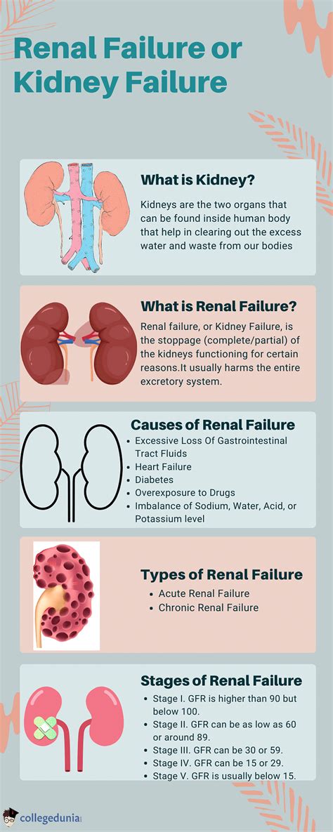 Kidney Failure: Types, Symptoms, Causes, And Treatment, 53% OFF