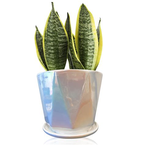 Amazon Coco Andrea White Ceramic Plant Pot Iridescent Small