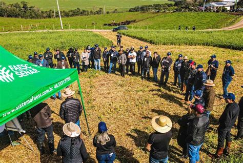 Senar SC Divulga Novos Cursos Gratuitos Para Produtores Rurais Do Norte