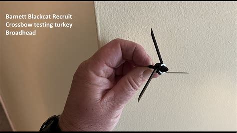 Barnett Blackcat Recruit Testing Turkey Broadhead YouTube