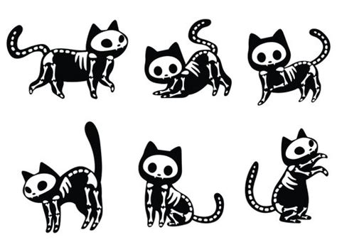 Cat Skeleton Drawing