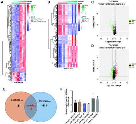 Identification Of Decircrnas In The Hcc Tissues And Normal Tissues A Download Scientific