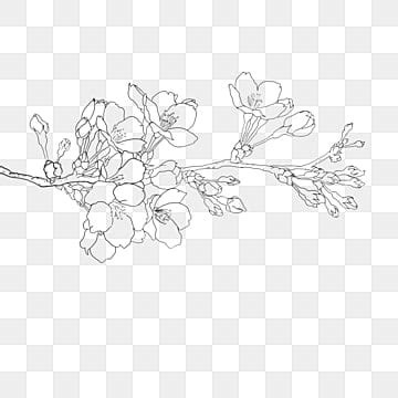 Simple Flower Line Drawing Png - Jagodooowa