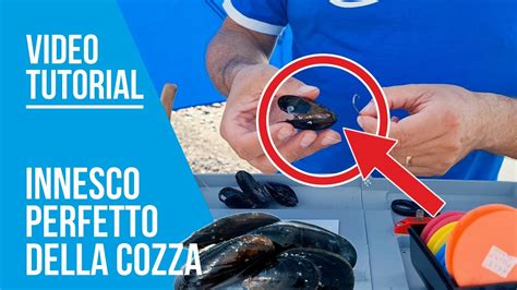 Innesco Cozza Per La Pesca All Orata L Innesco Perfetto Youtube