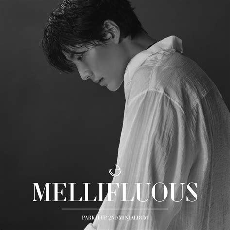 Park Je Up 박제업 Mellifluous Lyrics And Tracklist Genius