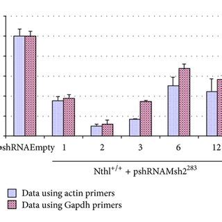 Msh2 silencing in Nth1+/+ cells. (a) Real-time data analysis for Msh2 ...