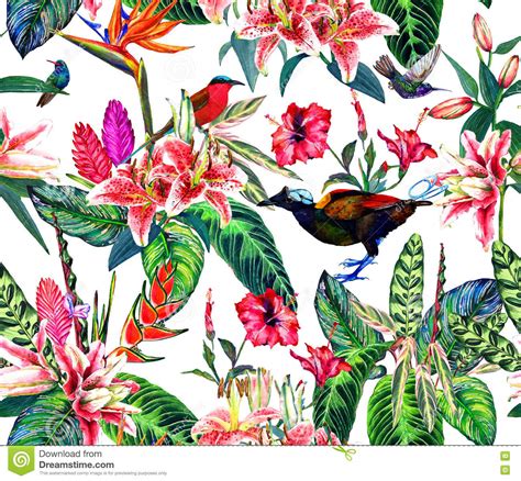 Seamless Tropical Floral Pattern Stock Illustration Illustration Of