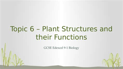 Edexcel GCSE 9-1 Biology Topic 6 – Plant Structures and their Functions ...