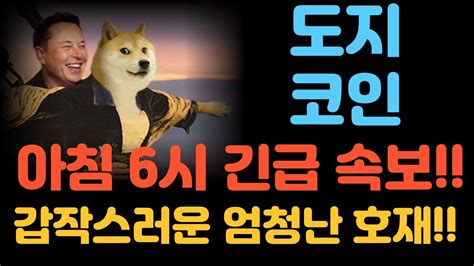 도지코인 1분전 긴급 속보 일론머스크가 직접 언급하면서 말도 안되는 엄청난 호재가 터졌습니다 Youtube