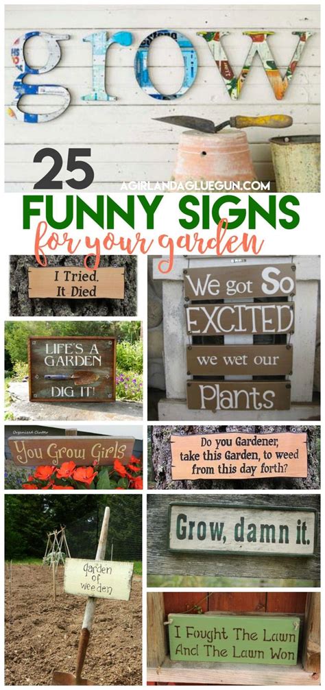 67 Beautiful funny garden signs Most Outstanding In 2023