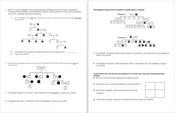 Sex Linked Traits Punnett Square And Pedigree Practice Tpt